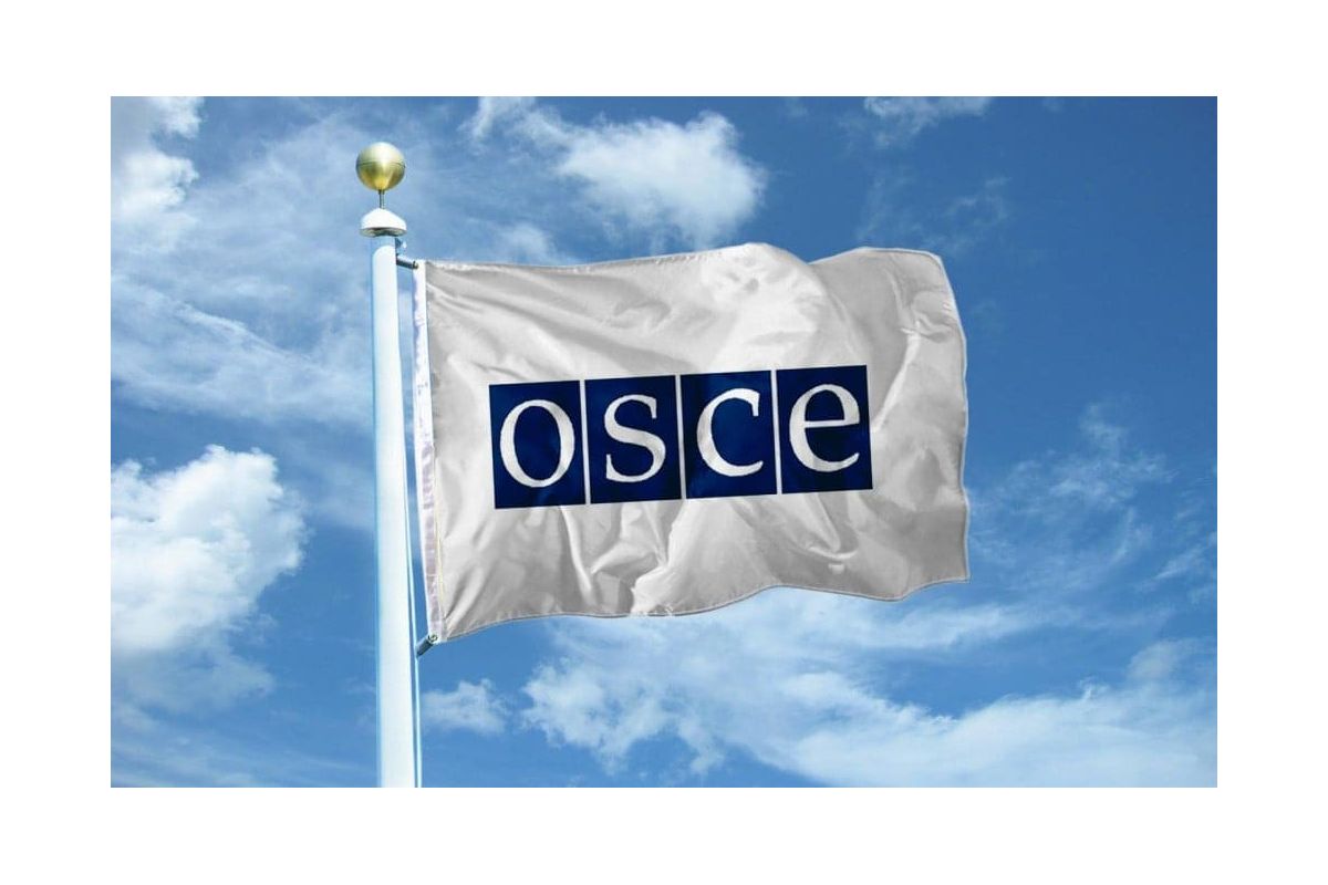 Представників ОБСЄ у Донбасі можуть озброїти Представників ОБСЄ у Донбасі можуть озброїти