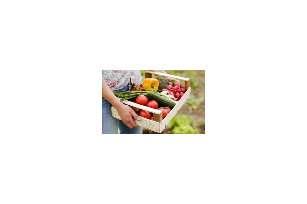 Наскільки подорожчала сільгосппродукція? Наскільки подорожчала сільгосппродукція?