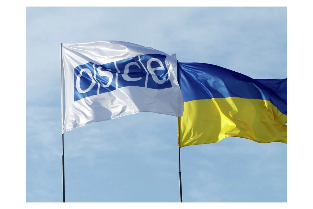 ОБСЄ привернув увагу незаконний обіг зброї у Києві