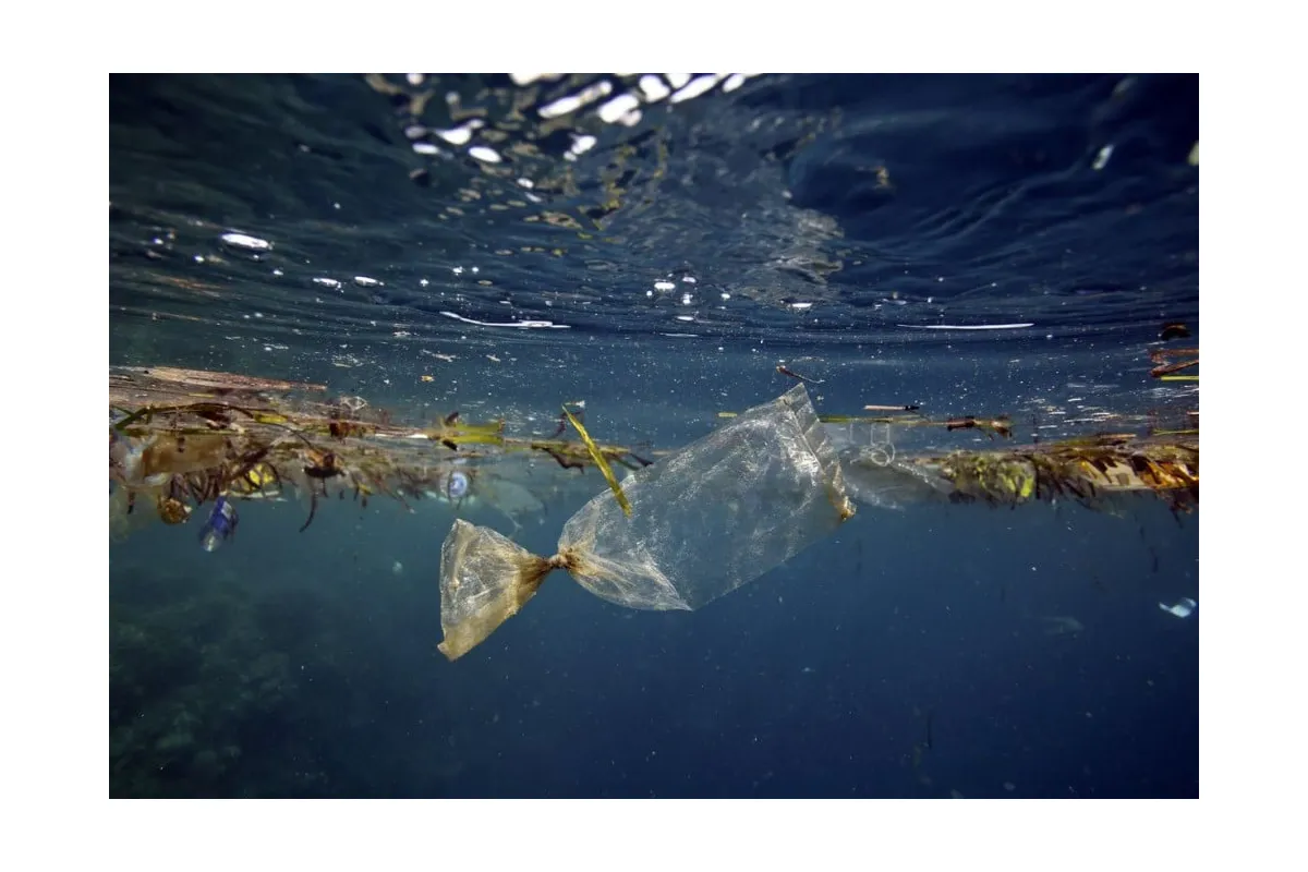 У Нідерландах знайшли дієвий спосіб очистити Світовий океан від сміття