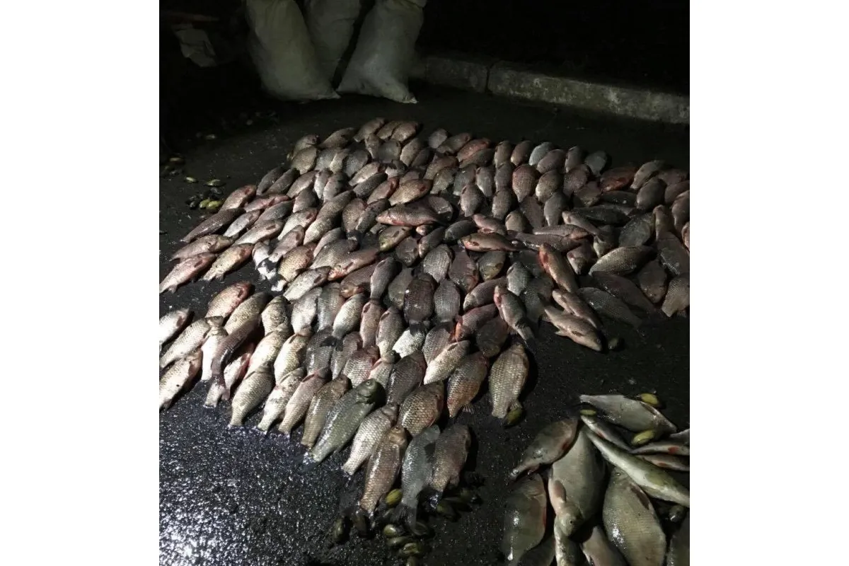 На Луганщині поліція веде боротьбу з незаконним виловом риби під час нересту