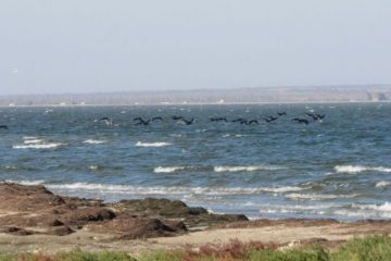 Перед судом постане колишній посадовець Держкомзему, з вини якого з державної власності вибули землі природно-заповідного фонду Перед судом постане колишній посадовець Держкомзему, з вини якого з державної власності вибули землі природно-заповідного фонду