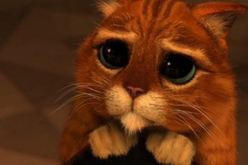 Страта за вбивство собаки або як країни карали за жорстоке ставлення до тварин — Ігор Мізрах Страта за вбивство собаки або як країни карали за жорстоке ставлення до тварин — Ігор Мізрах