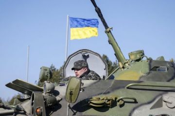 Неправильная война: какой должна стать украинская армия Неправильная война: какой должна стать украинская армия