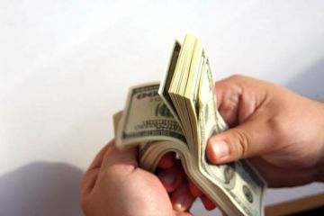 Государство уменьшает свое участие в экономике как инвестор Государство уменьшает свое участие в экономике как инвестор