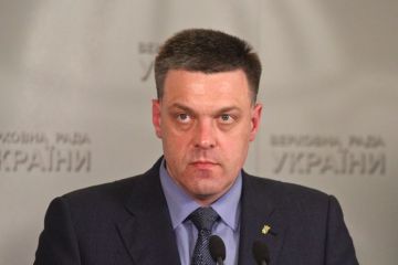 Тягнибок брав гроші у Януковича, – екс-нардеп Тягнибок брав гроші у Януковича, – екс-нардеп