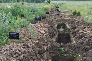 Массово хоронят боевиков? На Донбассе нашли много свежих могил Массово хоронят боевиков? На Донбассе нашли много свежих могил