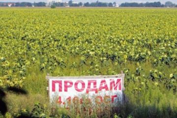 Фобии очумелых: о продаже сакральной украинской земли Фобии очумелых: о продаже сакральной украинской земли