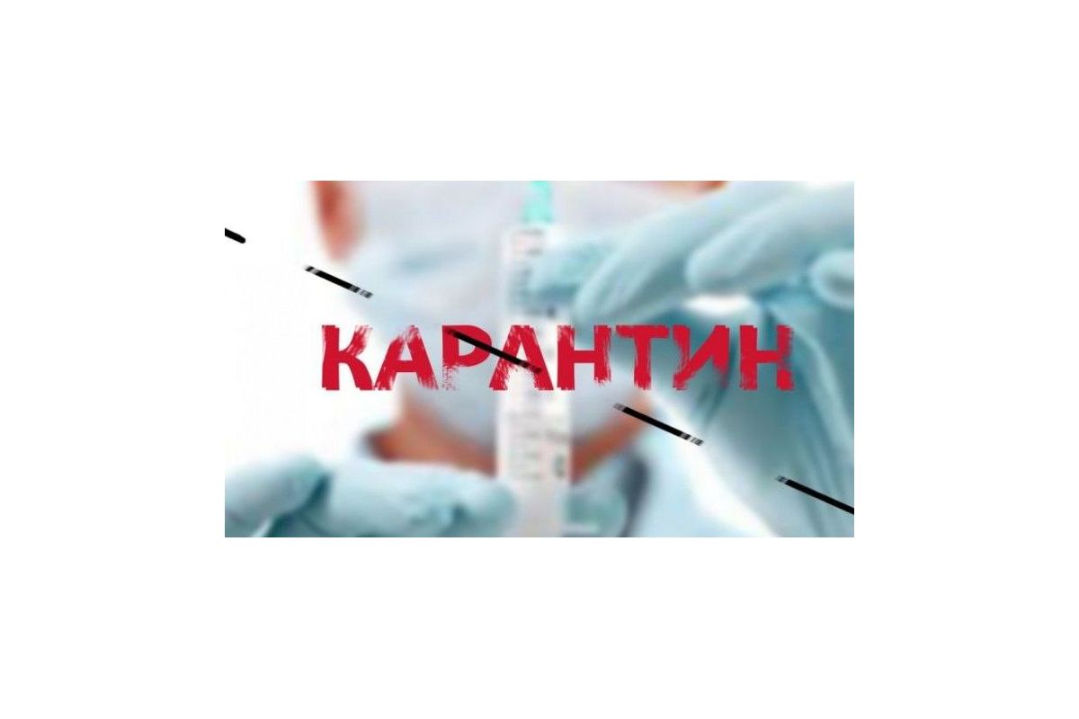 У США визнають користь та прогрес від введення карантину У США визнають користь та прогрес від введення карантину