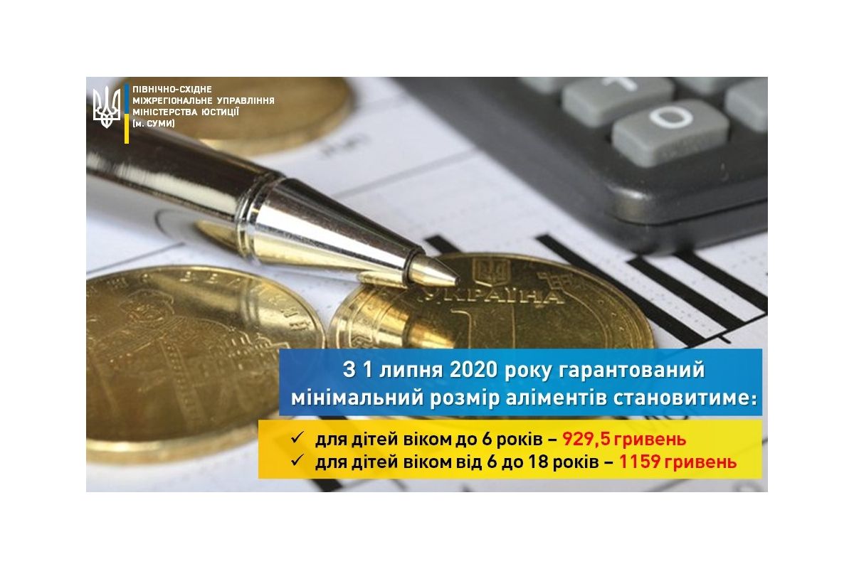 З 1 липня збільшується гарантований мінімальний розмір аліментів З 1 липня збільшується гарантований мінімальний розмір аліментів