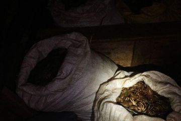 На Каховському водосховищі затримано браконьєрів, які виловили понад 100 кілограмів раків На Каховському водосховищі затримано браконьєрів, які виловили понад 100 кілограмів раків