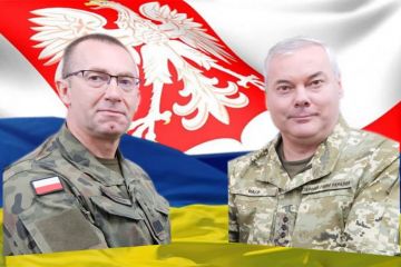 СПІВПРАЦЯ НА ОПЕРАТИВНОМУ РІВНІ – ПОГЛИБЛЮЄТЬСЯ СПІВПРАЦЯ НА ОПЕРАТИВНОМУ РІВНІ – ПОГЛИБЛЮЄТЬСЯ