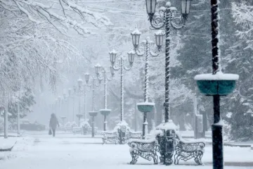 ​Загроза глобального потепління: чи може в Україні зникнути зима