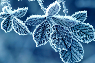 Синоптики розповідають, якою буде ця зима Синоптики розповідають, якою буде ця зима