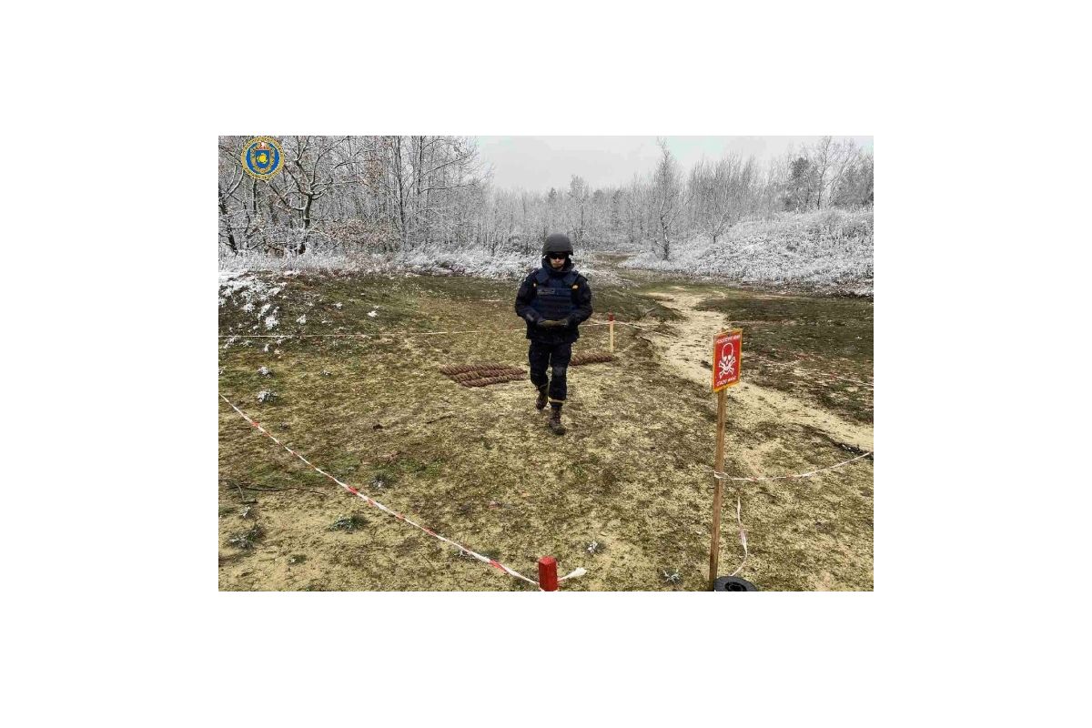 Біля села на Черкащині знайшли понад сотню боєприпасів Біля села на Черкащині знайшли понад сотню боєприпасів