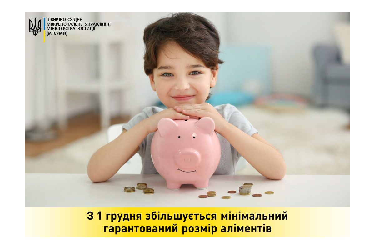 Зимове збільшення прожиткового мінімуму: як у грудні зміняться доходи малечі Зимове збільшення прожиткового мінімуму: як у грудні зміняться доходи малечі