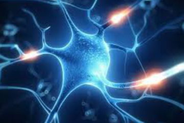 Студент медуніверситету України опинився у п'ятірці переможців на олімпіаді з нейронаук. Студент медуніверситету України опинився у п'ятірці переможців на олімпіаді з нейронаук.