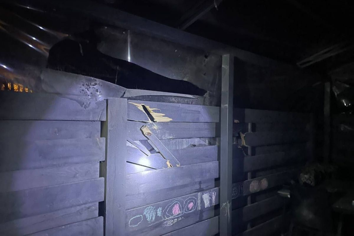 Фото наслідків атаки дронів Київщини Фото наслідків атаки дронів Київщини