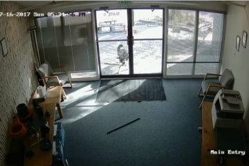 Громящего офис козла сняли на видео 	  	 	    			 	  	Громящего офис козла сняли на видео