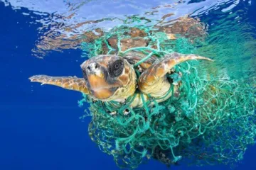 ​На підтримку життя в океанах, щороку потрібні мільярди доларів