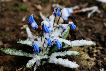 Сьогодні в Україні очікується похолодання Сьогодні в Україні очікується похолодання
