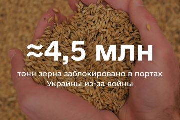 Майже 4,5 млн тонн зерна заблоковано у портах України Майже 4,5 млн тонн зерна заблоковано у портах України