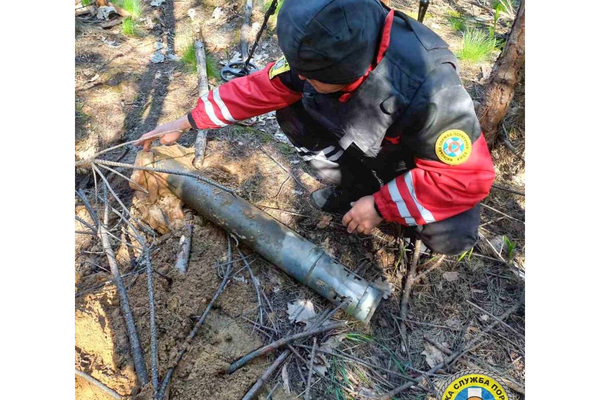 Киян закликають не ходити до лісу Киян закликають не ходити до лісу