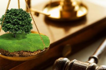 Відкриття ринку землі: органи, уповноважені вирішувати земельні спори  Відкриття ринку землі: органи, уповноважені вирішувати земельні спори