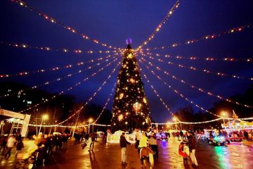 Міська влада Дніпра хоче встановити в парку Глоби новорічну ялинку за майже мільйон гривень Міська влада Дніпра хоче встановити в парку Глоби новорічну ялинку за майже мільйон гривень