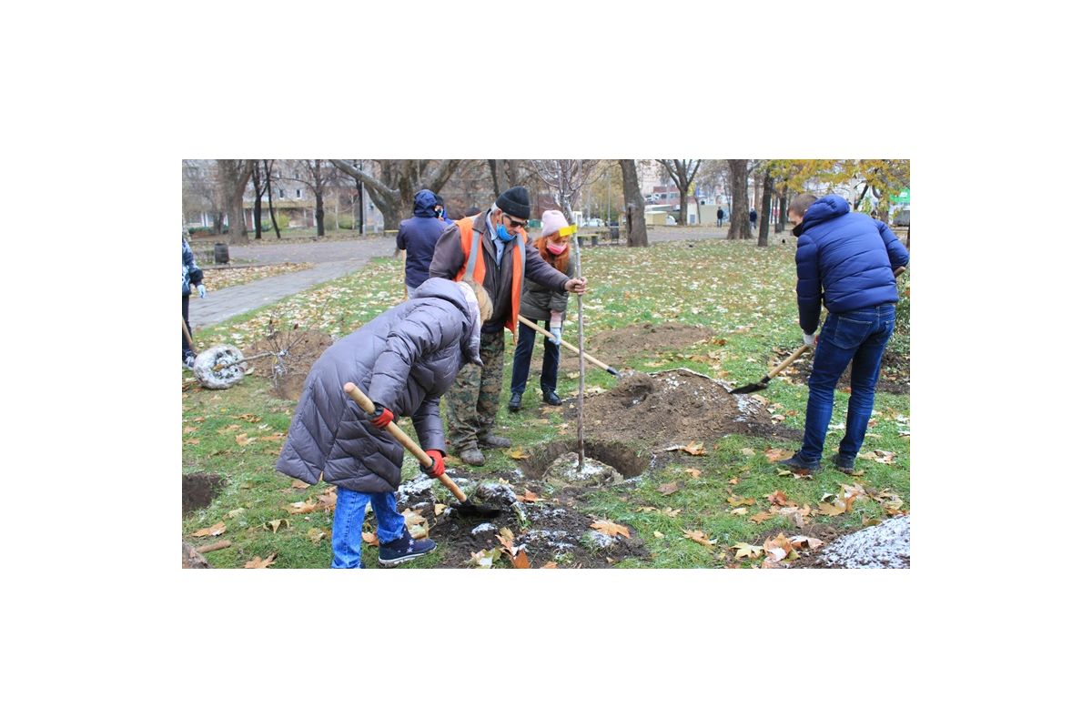 Алея нотаріусів Алея нотаріусів