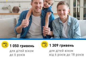 «Кишенькові» збільшено: на скільки зріс мінімальний розмір аліментів з 1 грудня? «Кишенькові» збільшено: на скільки зріс мінімальний розмір аліментів з 1 грудня?