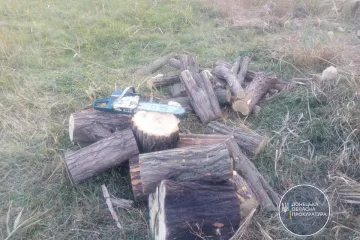 ​«Чорним лісорубам», які знищили дерев на майже 700 тис грн, загрожує до 7 років за ґратами (ФОТО)