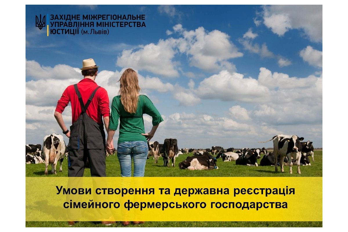 Умови створення та державна реєстрація сімейного фермерського господарства