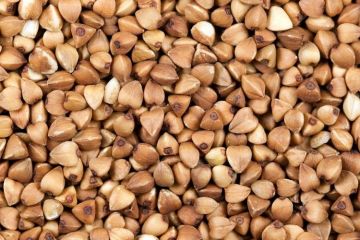 У зв’язку з ситуацією пандемії коронавірусу Україна не буде експортувати гречку У зв’язку з ситуацією пандемії коронавірусу Україна не буде експортувати гречку