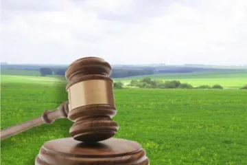 ​Рада разблокировала подписание закона о продаже земли на онлайн-аукционах