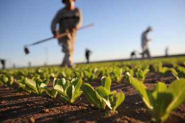 Схвалення фінансової допомоги від ЄС Схвалення фінансової допомоги від ЄС