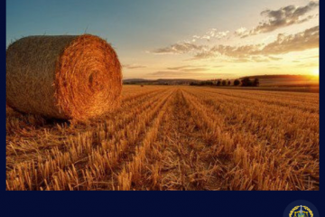 На Буковині за фактом самовільного захоплення землі судитимуть директора  сільськогосподарського підприємства На Буковині за фактом самовільного захоплення землі судитимуть директора  сільськогосподарського підприємства