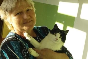 Кішка Муся проїхала пів Європи. Тепер вона у Польщі.. Кішка Муся проїхала пів Європи. Тепер вона у Польщі..