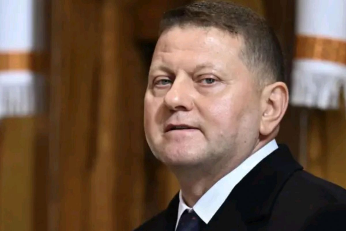 Медійна активність Залужного схожа на передвиборчу кампанію, – блогерка Медійна активність Залужного схожа на передвиборчу кампанію, – блогерка