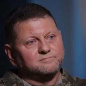 Валерій Залужний підтримав заклик відомої волонтерки на захист начальника ГУР МО Кирила Буданова Валерій Залужний підтримав заклик відомої волонтерки на захист начальника ГУР МО Кирила Буданова