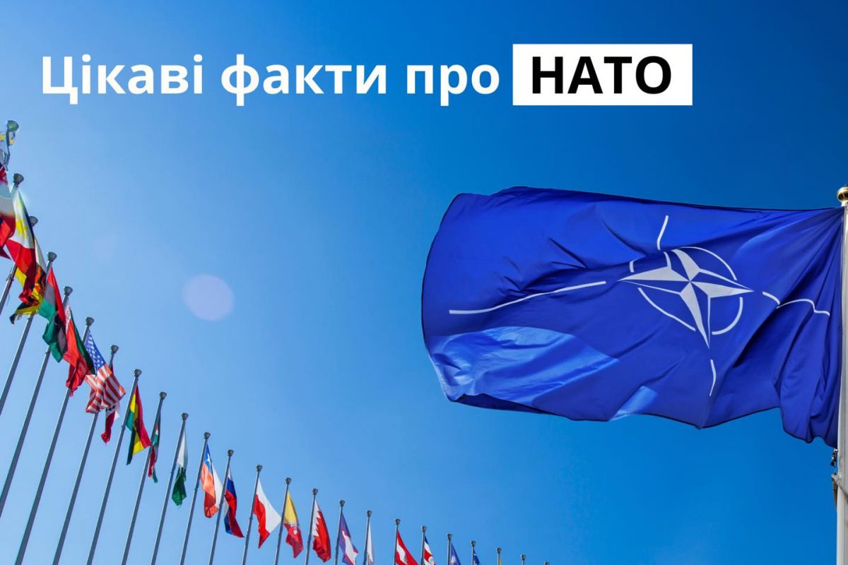 Цікаві факти про НАТО Цікаві факти про НАТО