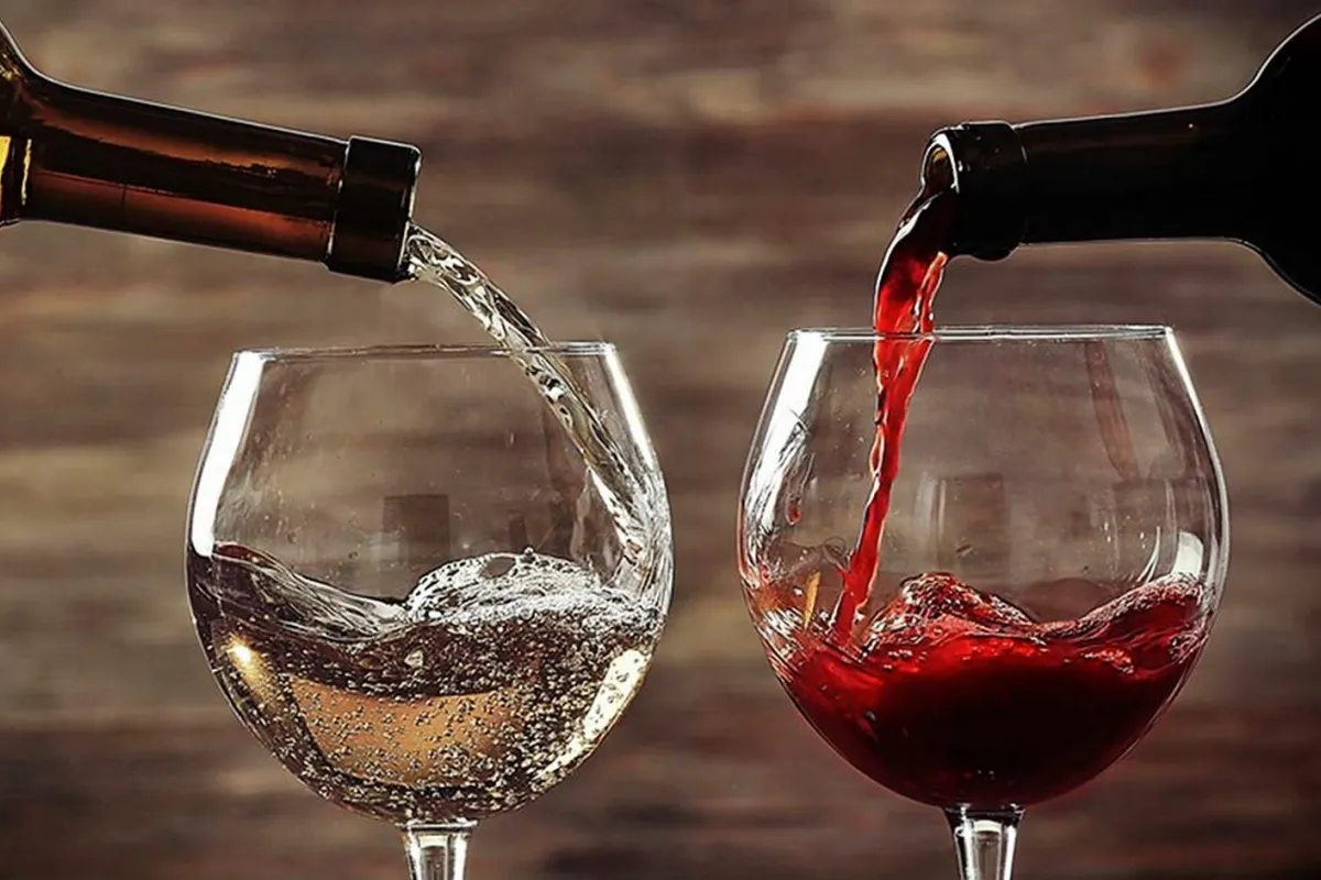 Червоне та біле вино: ворог чи друг для організму?