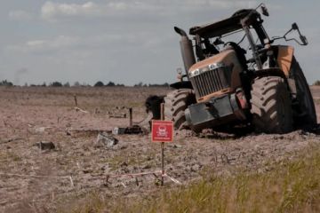 Учора на Харківщині двоє людей підірвалось на мінах Учора на Харківщині двоє людей підірвалось на мінах