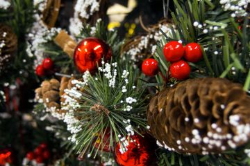 Головна ялинка Дніпра Головна ялинка Дніпра