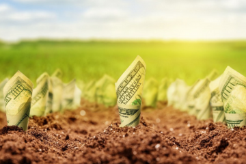 КАК КРАДУТ ЗЕМЛЮ СИНГАЕВСКИЙ И ДЕМОЧКО КАК КРАДУТ ЗЕМЛЮ СИНГАЕВСКИЙ И ДЕМОЧКО