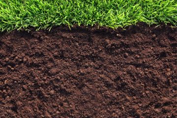 Майже пів гектара – саме стільки “ПриватБанк” планує продати землі на території Дніпра! Майже пів гектара – саме стільки “ПриватБанк” планує продати землі на території Дніпра!