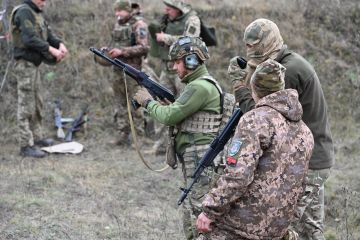 115 бригада ЗСУ: Тренування тривають 115 бригада ЗСУ: Тренування тривають