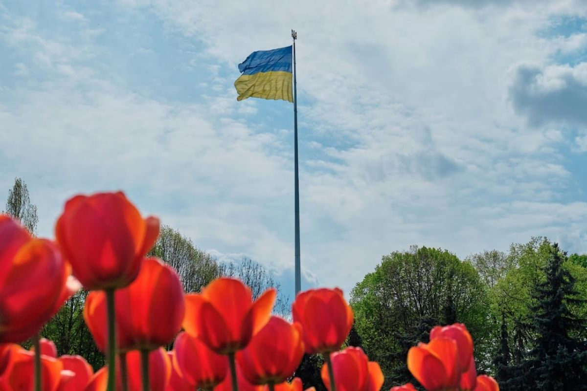 Російське вторгнення в Україну : Головний державний прапор України приспустять завтра зранку для заміни полотна на нове Російське вторгнення в Україну : Головний державний прапор України приспустять завтра зранку для заміни полотна на нове