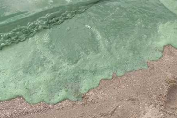 В Николаеве вода на пляже окрасилась в ядовито-зеленый цвет В Николаеве вода на пляже окрасилась в ядовито-зеленый цвет