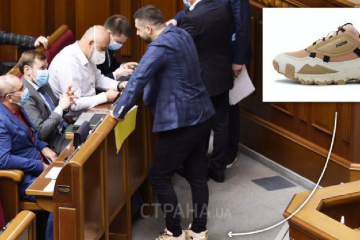 В Раду как на праздник. Давид Арахамия пришел на работу в экзотических кроссовках за 4500 гривен В Раду как на праздник. Давид Арахамия пришел на работу в экзотических кроссовках за 4500 гривен